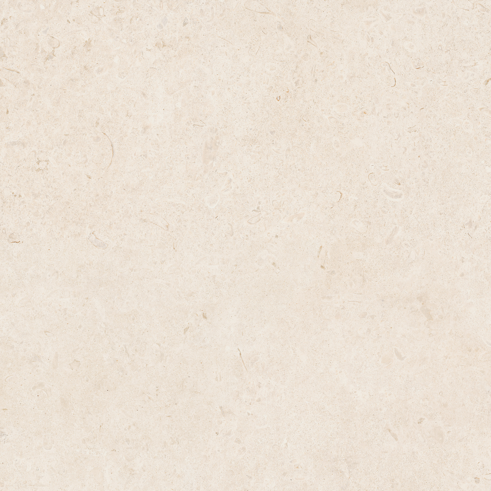 marazzi caracter mdas.jpg